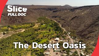 Los Comondú: Wine, Water and Life in a Baja California Oasis | FULL DOCUMENTARY