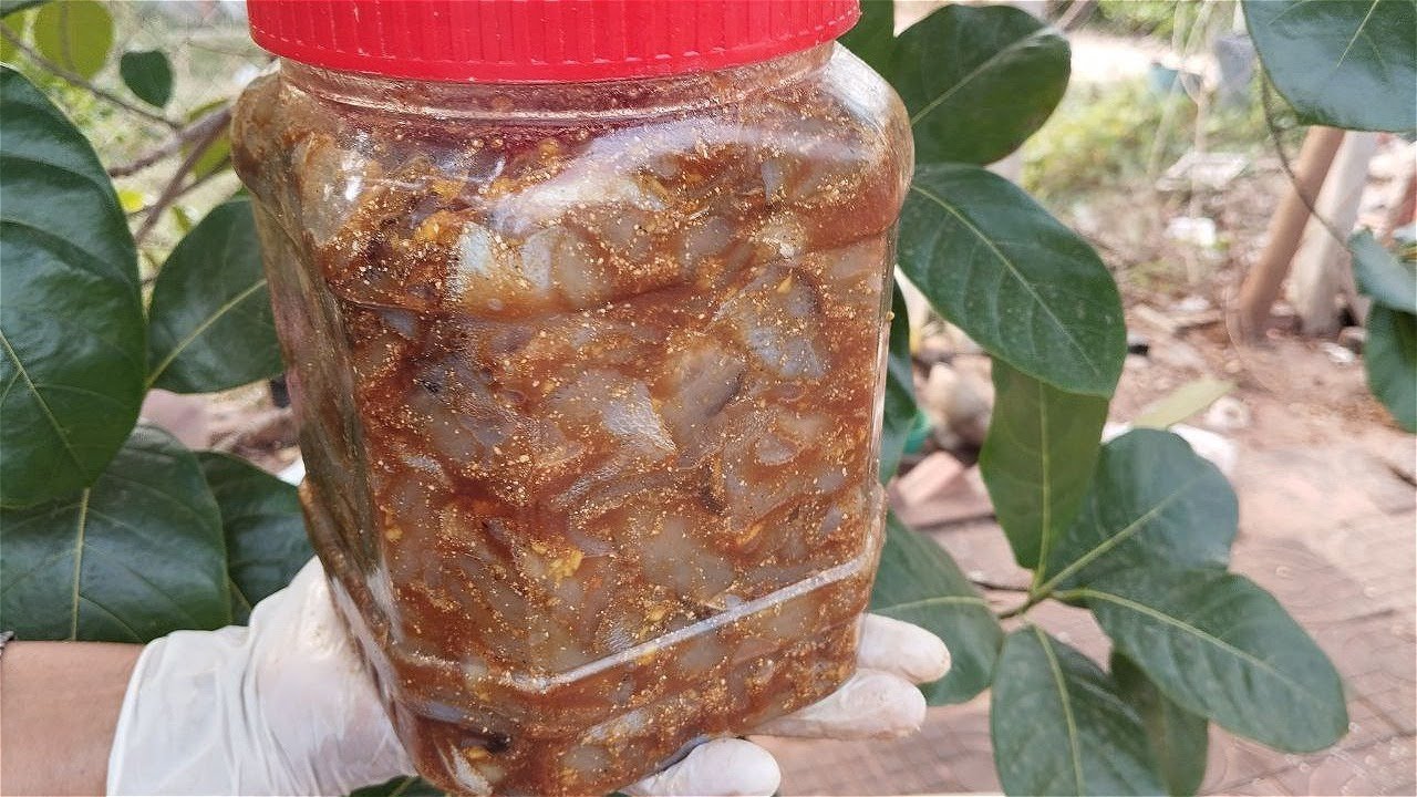 របៀបធ្វើមុំាត្រីកំភ្លាញដោយខ្លួនឯង ងាយៗ ធម្មជាតិ ឆ្ងុយឆ្ងាញ់