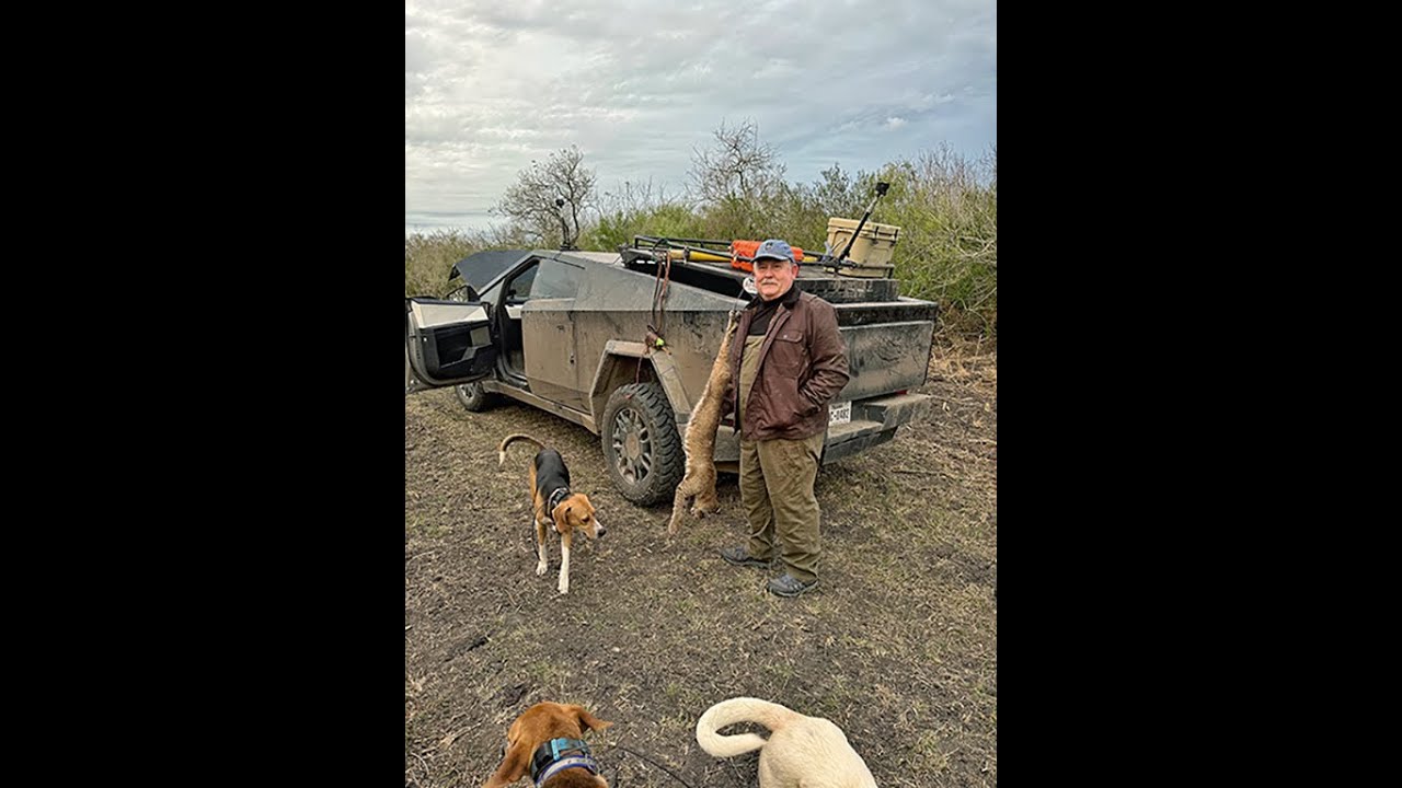 Охотник из Айдахо добыл двух рысей.