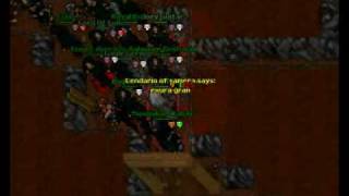 Tibia Samera infernnum Team Salasneo