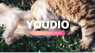 Rainbow Forest - Quincas Moreira (No Copyright Music)
