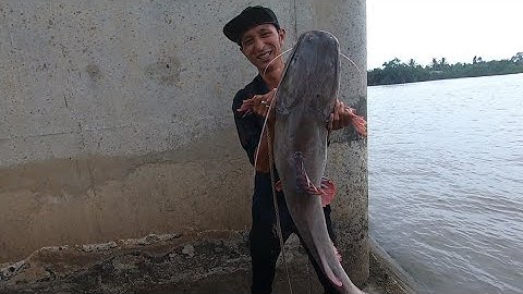 CÁ LĂNG KHỦNG SÔNG MEKONG