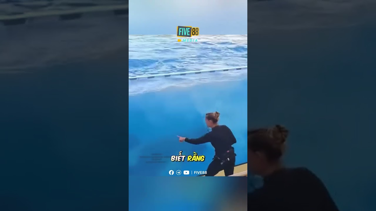 Nuôi pet này thì ai dám láo với cô 