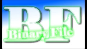 Binary File - Laptop Boy