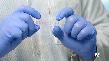 Single Cell Gene Expression Protocol v3.1 | Break GEMs with Recovery Agent