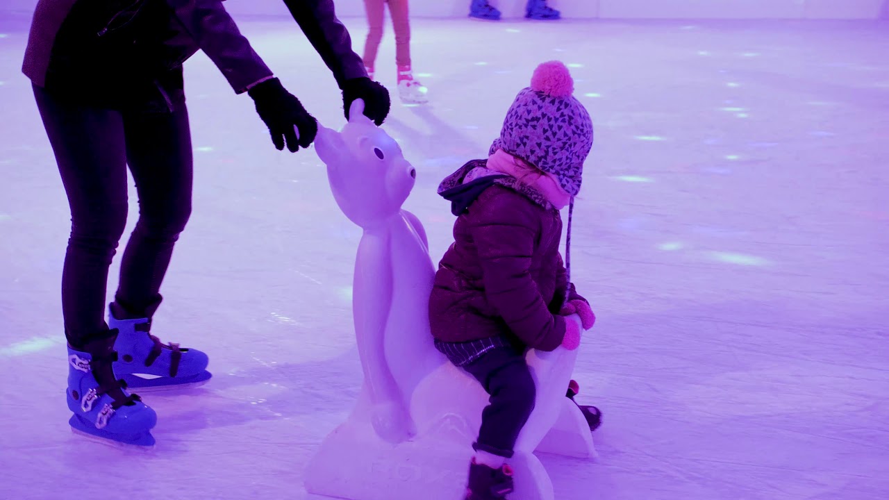 mini Portable ICE RINK for less than 30.000 €!!! /2020