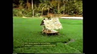 Station Id Rcti 19942000  Sawah  ricefield