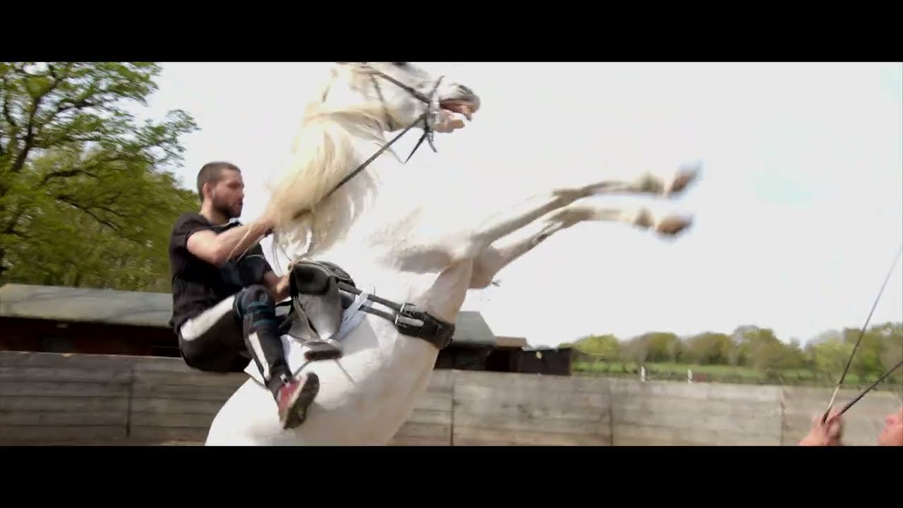 Horse Stunt Riding by Stunt Masterclass & AB Film Horses