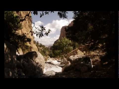 Video: Ožkos, Ganančios Medžiuose, Marokas - Alternatyvus Vaizdas