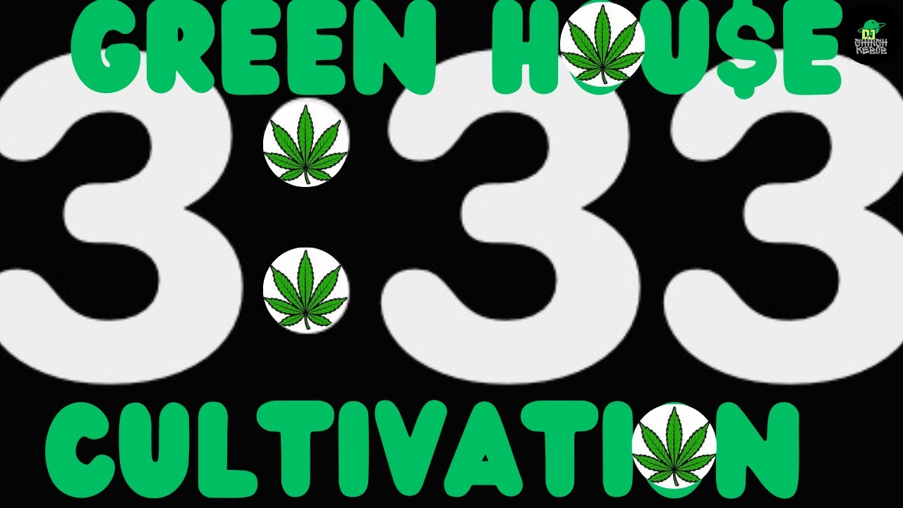 Explore New Heights With Cannabis.