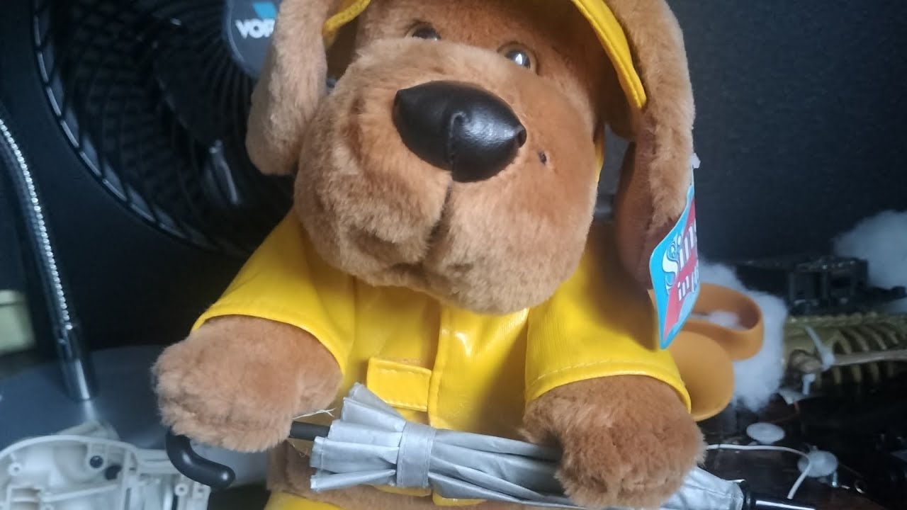 Beverly hills Teddy Bear co. (singing in the rain) 2005 - YouTube