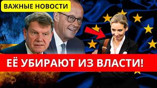 AfD и Вайдель 🔴 ТУЧИ СГУЩАЮТСЯ, А МЕРЦ ДАВИТ СВЕРХУ!