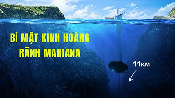 Chuyện Gì Đang Ẩn Dưới Độ Sâu 11.000 Mét? Bí Mật Kinh Hoàng Ở Rãnh Mariana Nơi Sâu Nhất Thế Giới