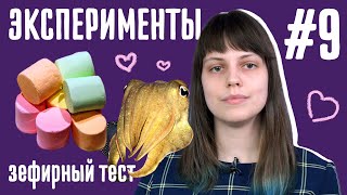 Эксперимент: Зефирный тест // Не думай о белой обезьяне