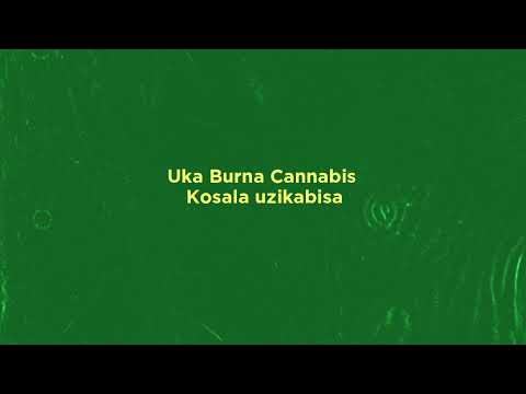 Crispy Malawi - Ndi Abale Athu (Prod. by Famous) Lyrical Video