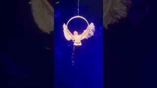 Царевна-Лебедь #Shorts #circus #цирк #воздушныегимнасты #aerialist #acrobatics