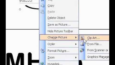 Microsoft Office Publisher 2003 Edit a logo for a personal information set