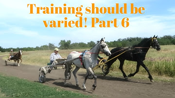 Training should be varied! Part 6