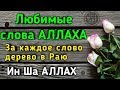 ✔Зикр Аллаху Акбар,Субханаллах,Алхамдулиллах.Dzikhr Allahu Akbar Alhamdulillah Subhanallah