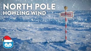 North Pole Christmas Ambience: howling wind, heavy snow