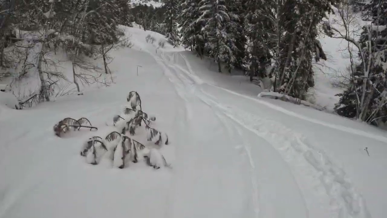 Terry Peak #terrypeak #skiing #darkhorse #ski #surprise