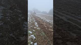 IMT 558 oranje u blatu, IMT 558 plowing in the mud