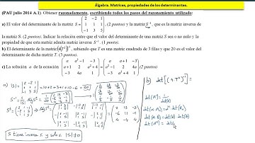 Matrices y determinantes. 2bat ccnn2 026 PAU julio 2014 a1. José Jaime Mas