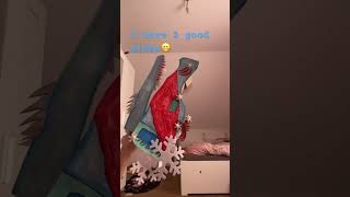 My new dragon frost 🥹 #dragonpuppet #short #shorts #dragonpuppeteer #snow #forst #idkman #hellooooo