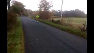 Roller Skiing Skate 3
