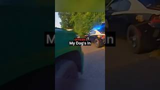 Police K9 Jumps Off Bridge to Catch Suspects