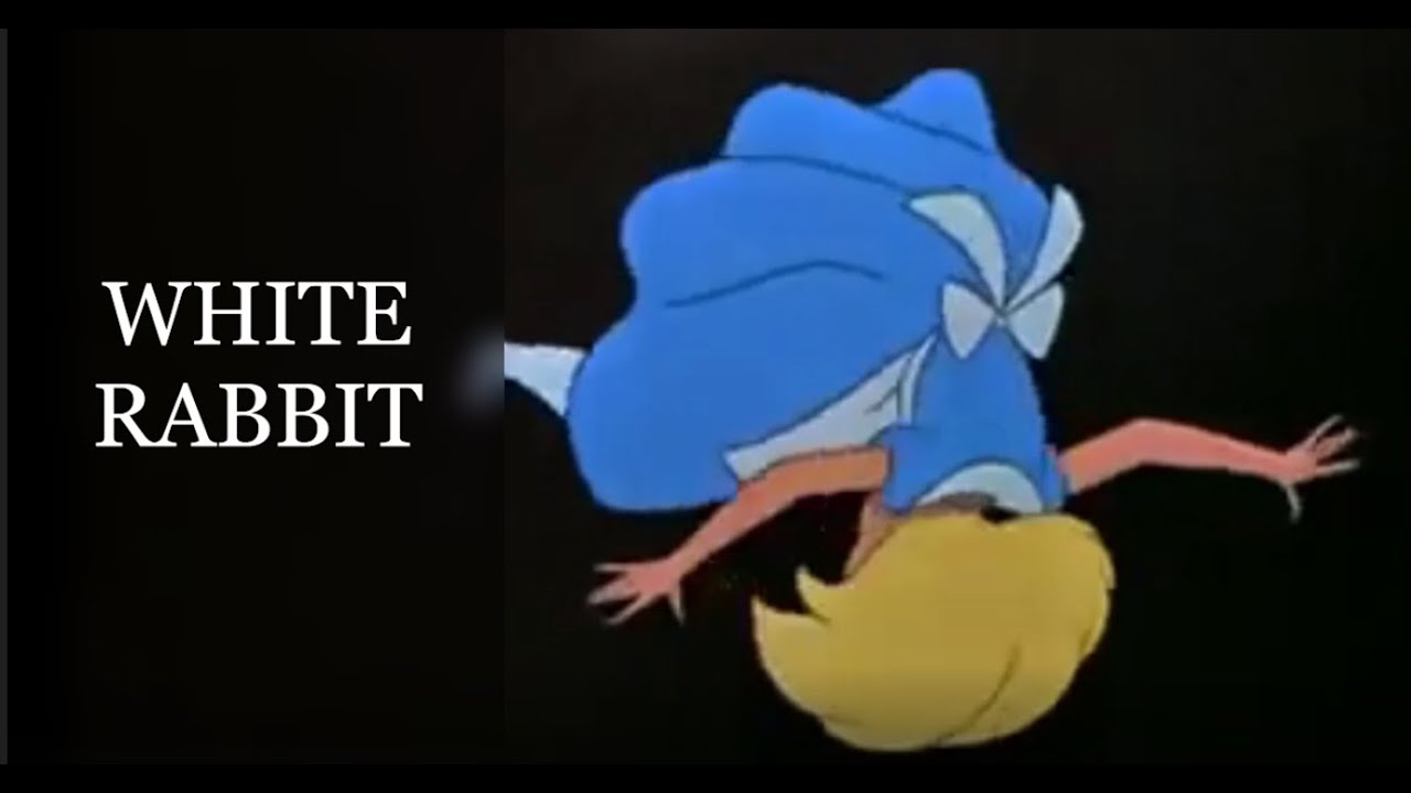 White Rabbit Down - YouTube