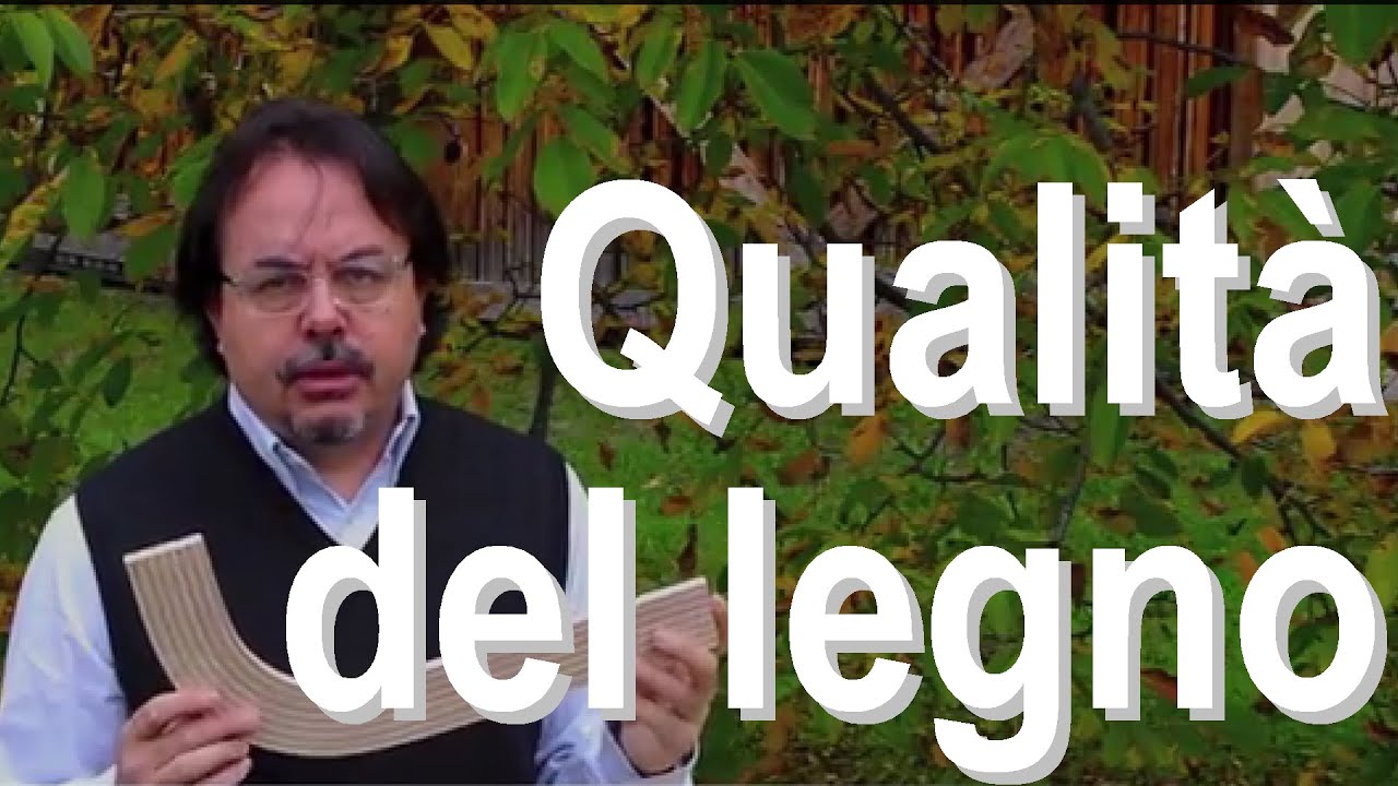 QUALITA' DEL LEGNO - CNR IVALSA