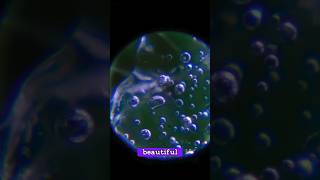 Watching Ice Melt under microscope is stunning ❄ 🧊