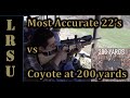 Most Accurate 22 LR's at 200 Yards Sitting Unsupported - 22 LR Marksmen Challenge