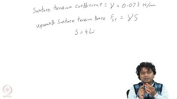 Scaling effect #swayamprabha #ch19