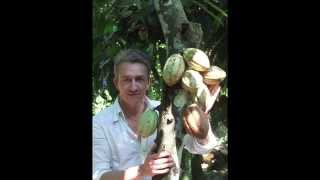 Charles Chavanette - World Chocolate Champion - Advisor Consultant