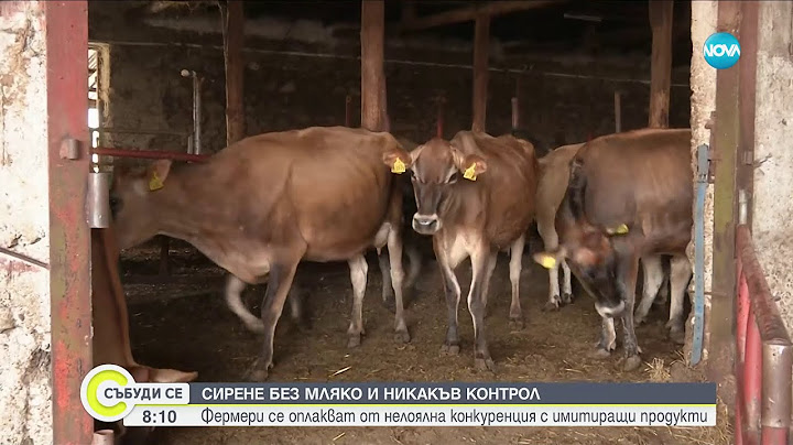 Тревожна статистика: Фермери страдат от нелоялна конкуренция с имитиращи млечни продукти - Събуди се