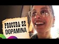 DIA DE PAUSA NA MILITÂNCIA PRA ODIAR MEU CÉREBRO