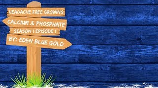 Eden Blue Gold Podcast: Headache Free Growing: Calcium and Soft Rock Phosphate