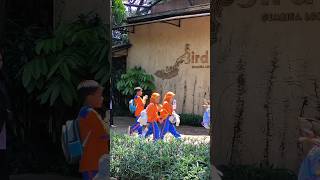 Wisata Edukasi  Outing Ke Gembira Loka Zoo part 5 shorts yosionga yogyakarta
