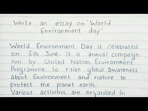 Write an essay