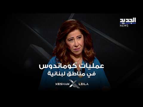 Laila Abdel Latif: Commando Raids and Landings in Lebanese Territories.. and an AI Conspiracy Aga...