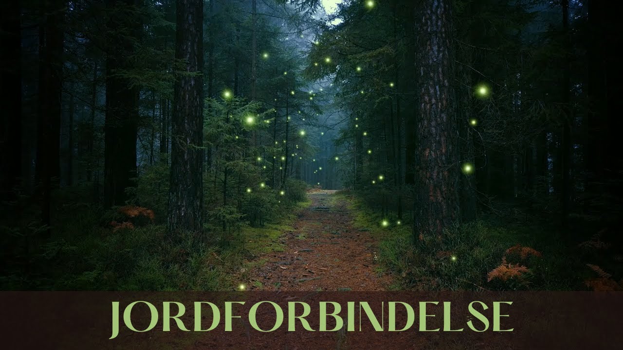 Guidet meditation – Jordforbindelse 🌲 — Transcript