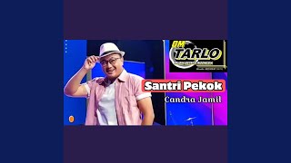 Santri Pekok
