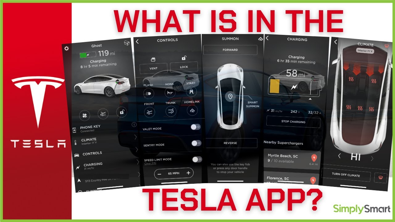 view trips on tesla app