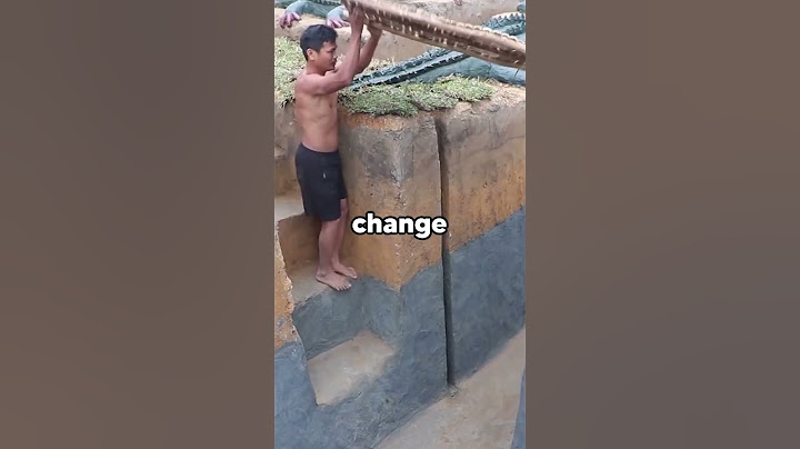 Primitive Survival Fakes