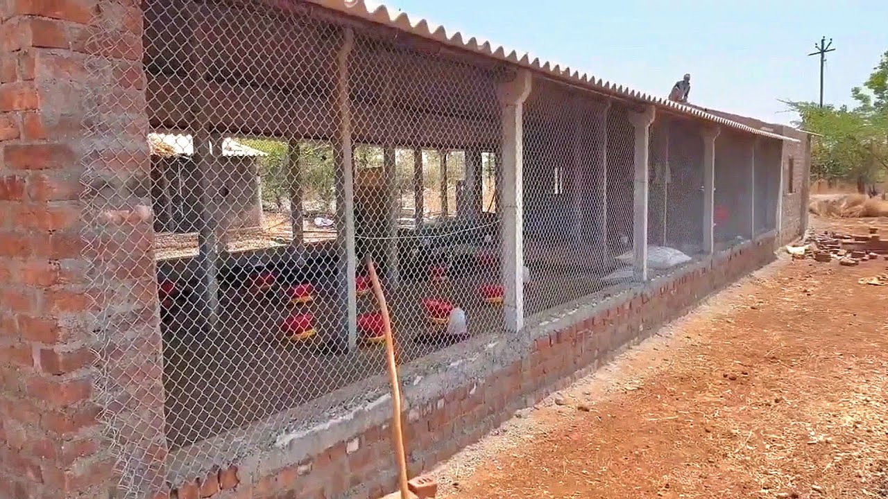 Poultry Shed Construction l देशी मुर्गियों के लिये पोल्ट्री शेड l