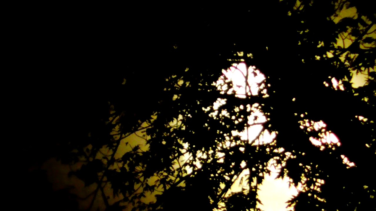 Pink Super Moon Rise Time Lapse & Cam Mix