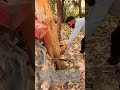 サブソイラー接続 : ヒッチへの手動取り付け作業
