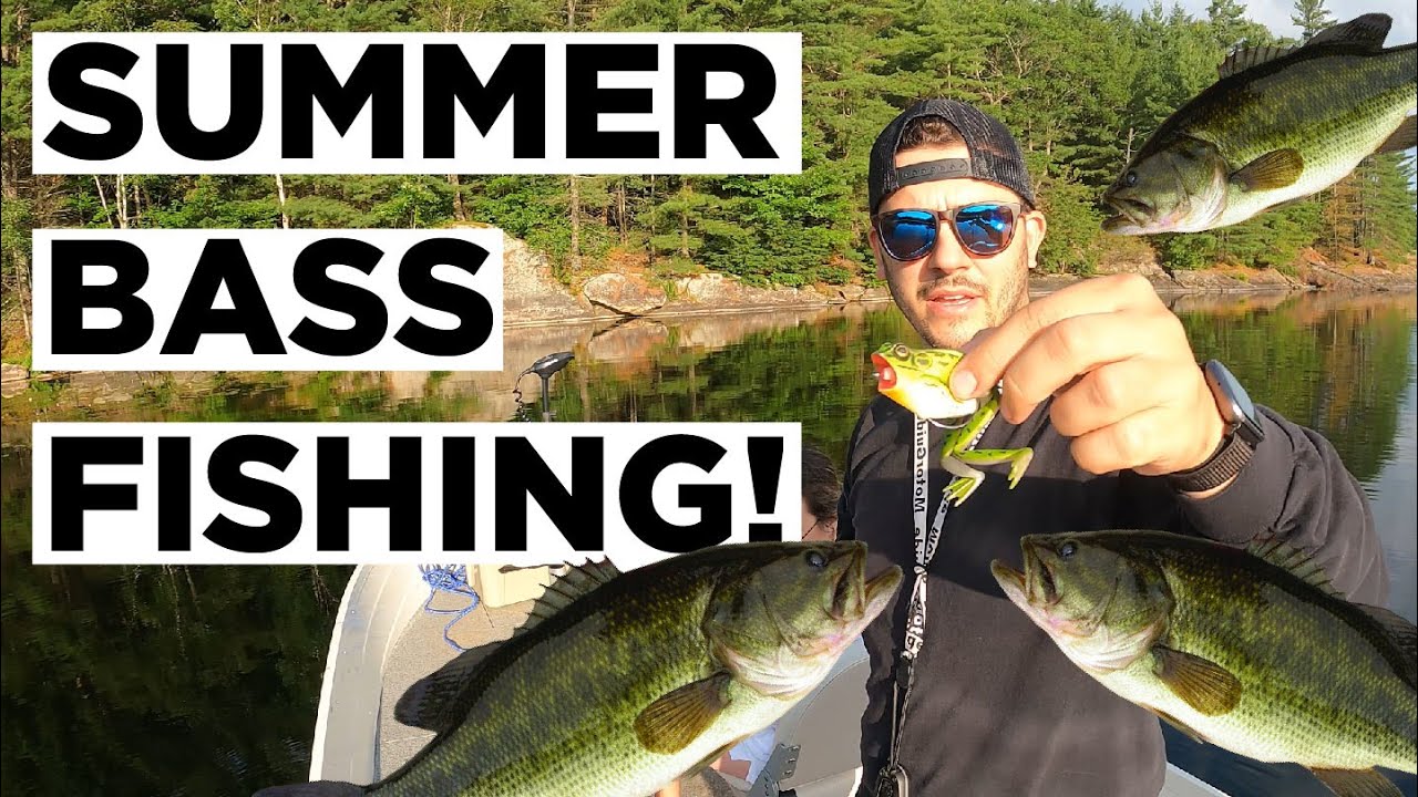 Summer Bass Fishing